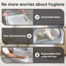 Automatic self cleaning litter