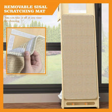 بيت شجرة القطط، التسلق