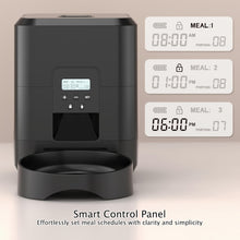 Cat water and food dispenser automatic