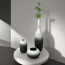 مزهرية سيراميك باللونين الأبيض والأسود