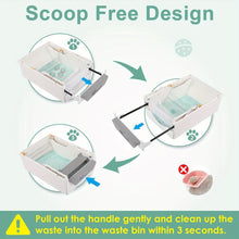 Automatic self cleaning litter