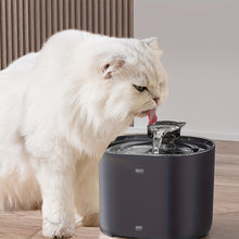 Cat Water Fountain 2.2L/74oz