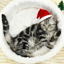 وسادة عش سرير القطط نودل رامين