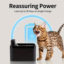 Cat water and food dispenser automatic