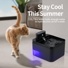 Cat water and food dispenser automatic