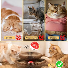 Cat Toy, Magic Organ Cat Scratch Board,