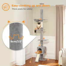 شجرة القطط، على شكل برج