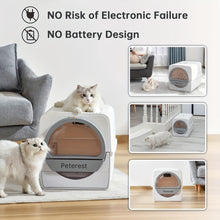 Automatic self cleaning litter