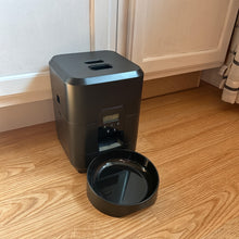 Cat water and food dispenser automatic